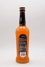 Riemerschmid - Mango Sirup